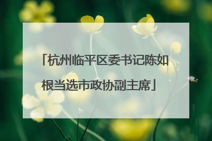 杭州临平区委书记陈如根当选市政协副主席