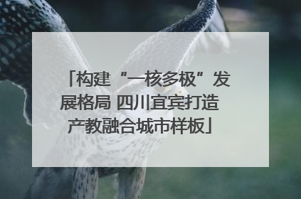 构建“一核多极”发展格局 四川宜宾打造产教融合城市样板