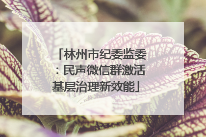 林州市纪委监委：民声微信群激活基层治理新效能