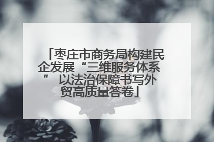 枣庄市商务局构建民企发展“三维服务体系” 以法治保障书写外贸高质量答卷