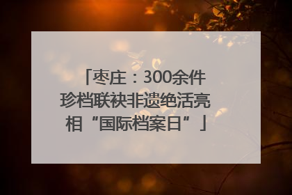 枣庄：300余件珍档联袂非遗绝活亮相“国际档案日”