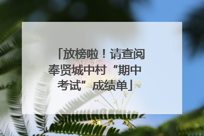 放榜啦！请查阅奉贤城中村“期中考试”成绩单