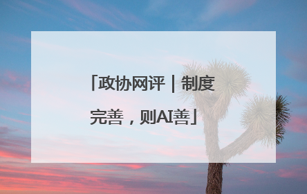 政协网评｜制度完善，则AI善
