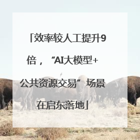 效率较人工提升9倍，“AI大模型+公共资源交易”场景在启东落地