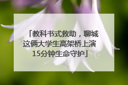 教科书式救助，聊城这俩大学生高架桥上演15分钟生命守护