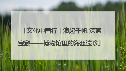 文化中国行｜浪起千帆 深蓝宝藏——博物馆里的海丝遗珍