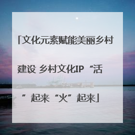 文化元素赋能美丽乡村建设 乡村文化IP“活”起来“火”起来