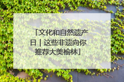 文化和自然遗产日｜这些非遗向你推荐大美榆林
