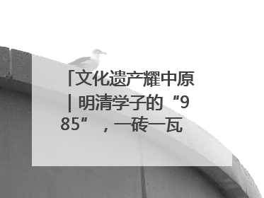 文化遗产耀中原｜明清学子的“985”，一砖一瓦都是历史
