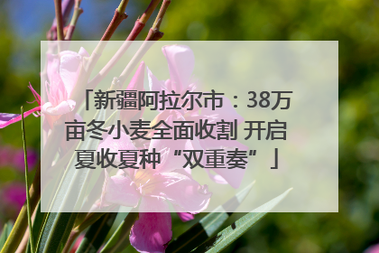 新疆阿拉尔市：38万亩冬小麦全面收割 开启夏收夏种“双重奏”