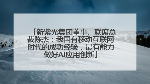 新紫光集团董事、联席总裁陈杰：我国有移动互联网时代的成功经验，最有能力做好AI应用创新