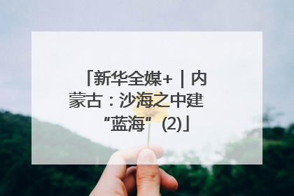 新华全媒+｜内蒙古：沙海之中建“蓝海”(2)
