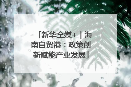 新华全媒+｜海南自贸港：政策创新赋能产业发展