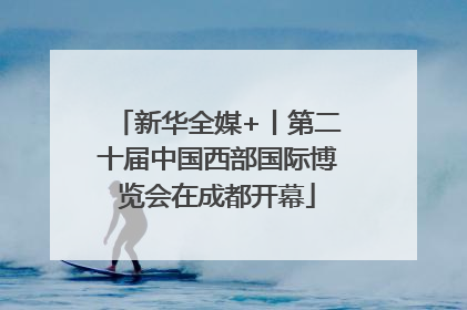 新华全媒+丨第二十届中国西部国际博览会在成都开幕