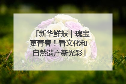 新华鲜报｜瑰宝更青春！看文化和自然遗产新光彩
