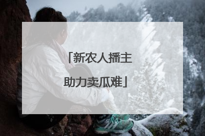 新农人播主 助力卖瓜难