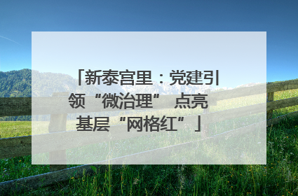 新泰宫里：党建引领“微治理” 点亮基层“网格红”