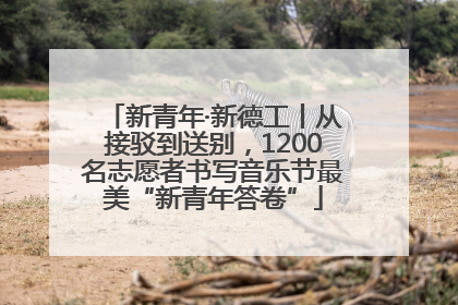 新青年·新德工丨从接驳到送别，1200名志愿者书写音乐节最美“新青年答卷”