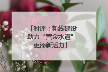 时评：新线建设助力“黄金水道”更添新活力