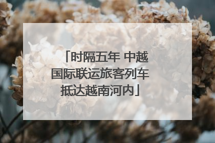 时隔五年 中越国际联运旅客列车抵达越南河内