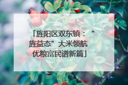 旌阳区双东镇：“旌益态”大米领航 优粮富民谱新篇
