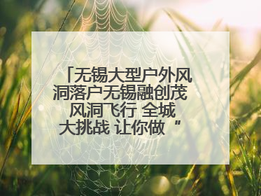 无锡大型户外风洞落户无锡融创茂 风洞飞行 全城大挑战 让你做“空中飞人”