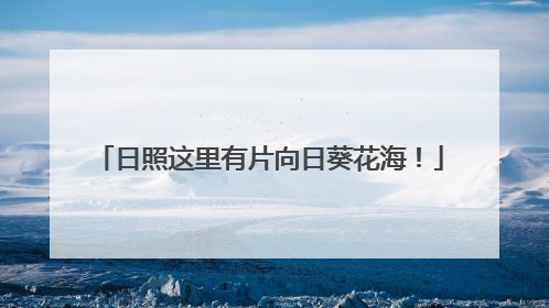 日照这里有片向日葵花海！