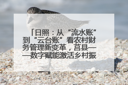 日照：从“流水账”到“云台账”看农村财务管理新变革，莒县——数字赋能激活乡村振兴“一池春水”