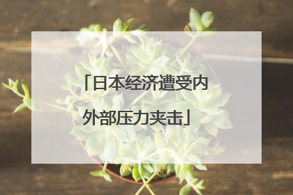 日本经济遭受内外部压力夹击