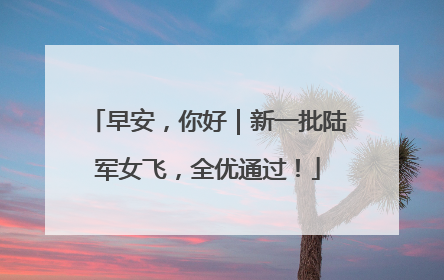早安，你好｜新一批陆军女飞，全优通过！