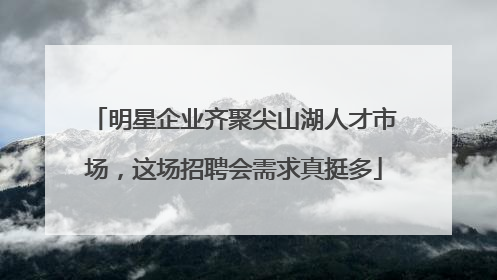 明星企业齐聚尖山湖人才市场，这场招聘会需求真挺多