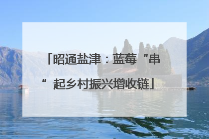 昭通盐津：蓝莓“串”起乡村振兴增收链