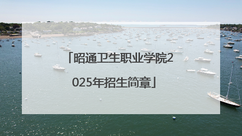 昭通卫生职业学院2025年招生简章