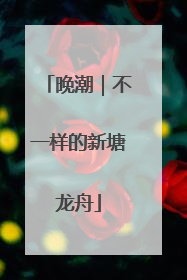 晚潮｜不一样的新塘龙舟