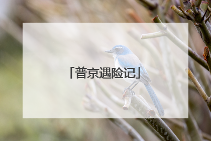 普京遇险记