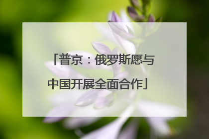 普京：俄罗斯愿与中国开展全面合作