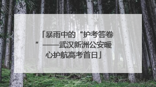 暴雨中的“护考答卷”——武汉新洲公安暖心护航高考首日