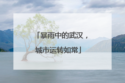 暴雨中的武汉，城市运转如常