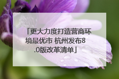 更大力度打造营商环境最优市 杭州发布8.0版改革清单