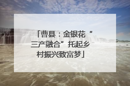 曹县：金银花“三产融合”托起乡村振兴致富梦