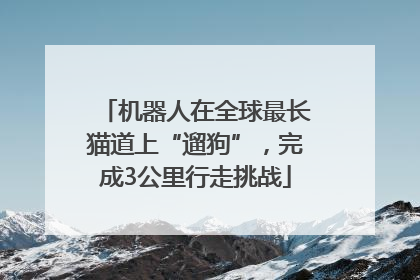 机器人在全球最长猫道上“遛狗”，完成3公里行走挑战