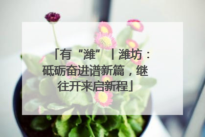 有“潍”丨潍坊：砥砺奋进谱新篇，继往开来启新程