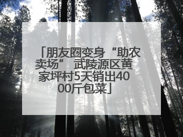 朋友圈变身“助农卖场” 武陵源区黄家坪村5天销出4000斤包菜