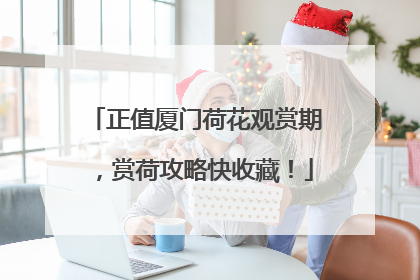 正值厦门荷花观赏期，赏荷攻略快收藏！