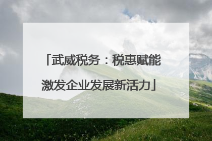 武威税务：税惠赋能 激发企业发展新活力