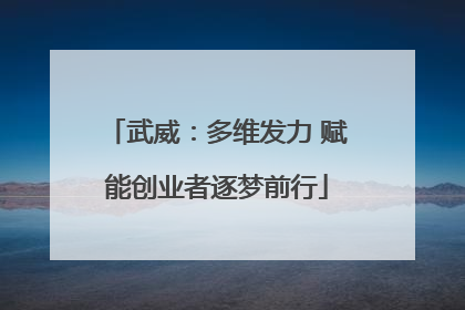 武威：多维发力 赋能创业者逐梦前行