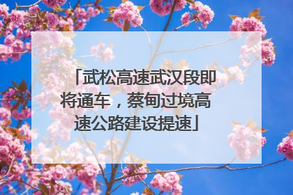 武松高速武汉段即将通车，蔡甸过境高速公路建设提速