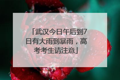 武汉今日午后到7日有大雨到暴雨，高考考生请注意