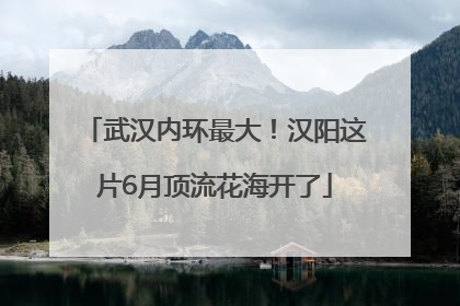 武汉内环最大！汉阳这片6月顶流花海开了