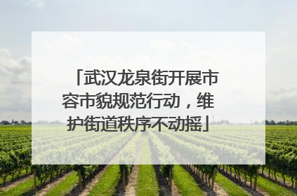 武汉龙泉街开展市容市貌规范行动，维护街道秩序不动摇